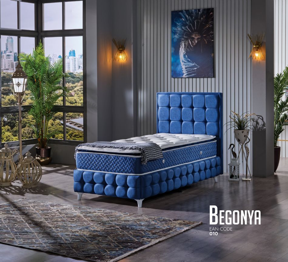 BEGONYA TEK KİŞİLİK